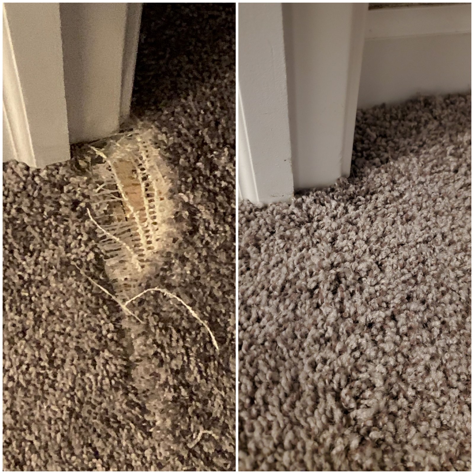 Carpet patch repair