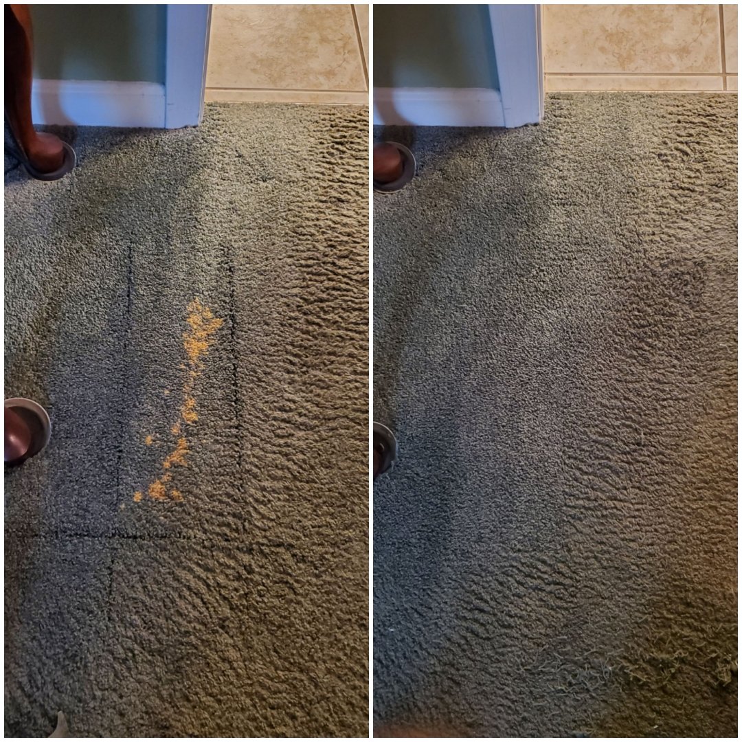 Bleach stain carpet repair
